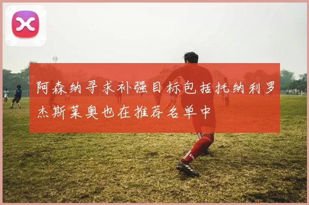 阿森纳寻求补强目标包括托纳利罗杰斯莱奥也在推荐名单中