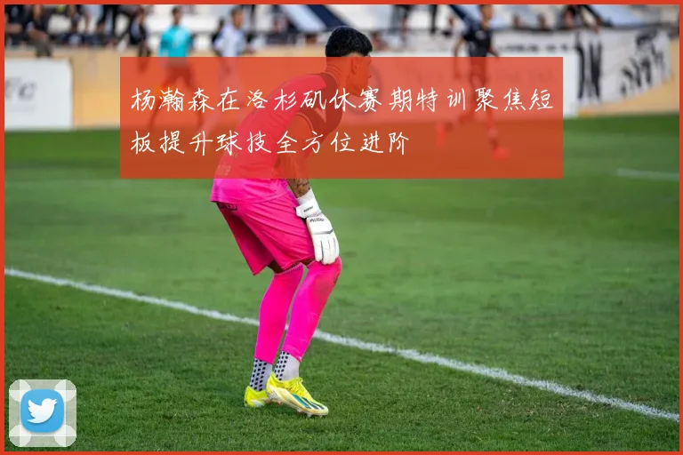 杨瀚森在洛杉矶休赛期特训聚焦短板提升球技全方位进阶